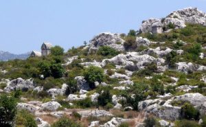 629024b243309KEKOVA -8